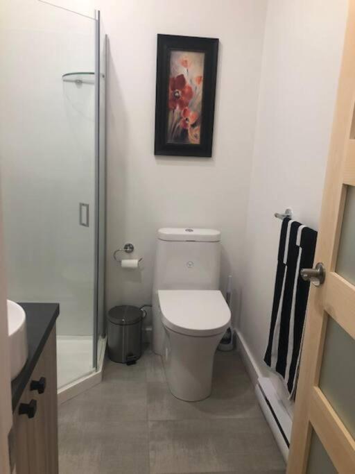 Apartment Le 3 1/2 Au Coeur De Pres Du St-laurent Rimouski